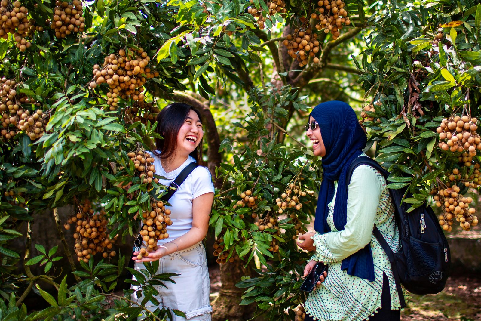 Tác phẩm: "Học sinh quốc tế trải nghiệm vườn nhãn", tác giả Vũ Tuấn Anh