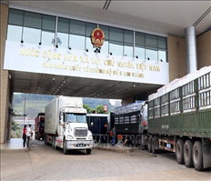 Việt Nam - Trung Quốc thúc đẩy thương mại nông sản