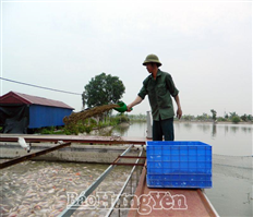 Hưng Yên sẽ chi 35 tỷ đồng hỗ trợ phát triển thủy sản