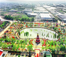 Về Hưng Yên du lịch làng nghề hoa, cây cảnh