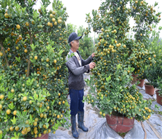 Xúc tiến tiêu thụ sản phẩm OCOP