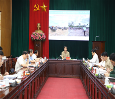 Họp Ban Chỉ đạo các dự án trọng điểm tỉnh