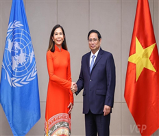 Việt Nam đóng vai trò quan trọng trong việc LHQ công nhận Tết Nguyên đán