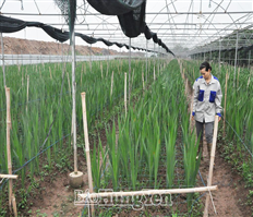 Hỗ trợ nông dân chuyển đổi số