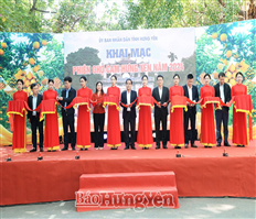 Khai mạc Phiên chợ cam Hưng Yên năm 2024