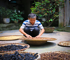 Làng dược liệu Nghĩa Trai