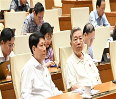 Nhiều nghị quyết quan trọng thúc đẩy phát triển kinh tế tư nhân và cải cách thể chế