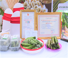 Huyện Văn Giang có 29 sản phẩm OCOP