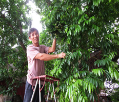 Sấu Tuấn Dị