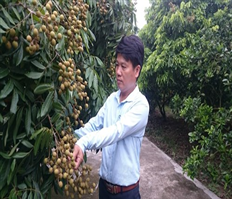 Nâng cao giá trị thương hiệu nhãn Hưng Yên