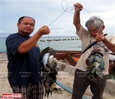Tiếng vọng từ Hoàng Sa, Trường Sa