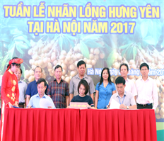 Khai mạc Tuần lễ Nhãn lồng Hưng Yên tại Hà Nội