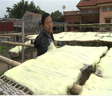 Hưng Yên: Làng nghề miến dong Lại Trạch tăng sản lượng phục vụ tết